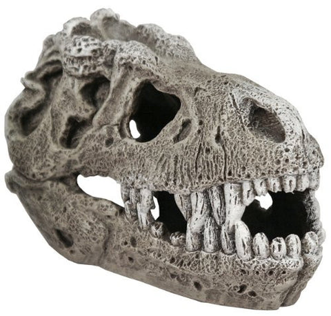 Exotic Environments T-Rex Skull Aquarium Ornament , Small, 5-Inch by 3-Inch by 3-Inch