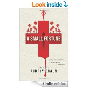 A Small Fortune (Fortune Series Book 1) [Kindle Edition]