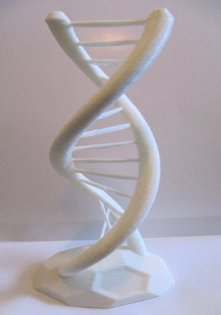 3D Printed DNA Model, White