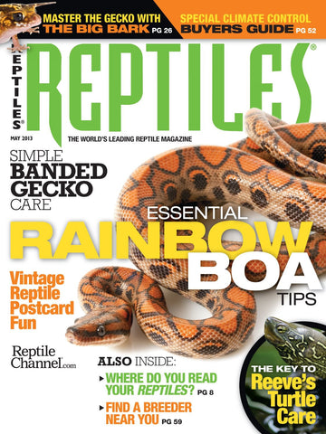 Reptiles (1-year)